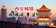 :学生妹操屁眼播放器中国陕西-西安城墙旅游风景区